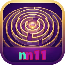 nn11